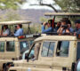 Tulia essence tours