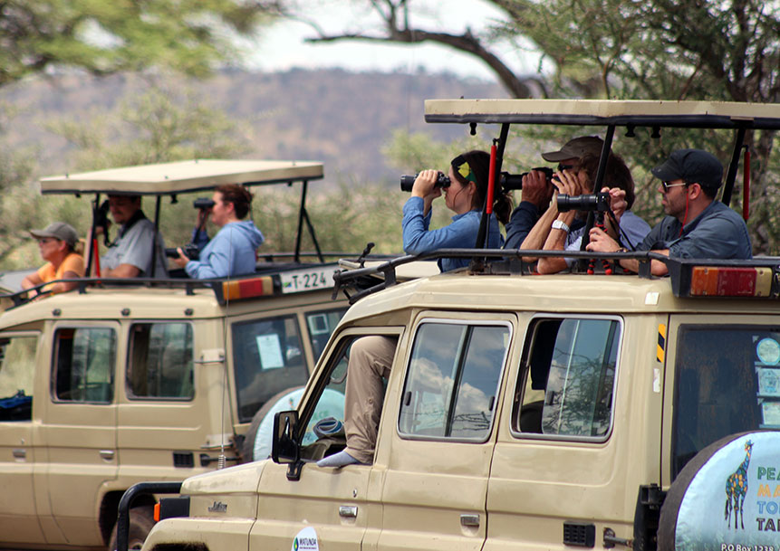 Tulia essence tours