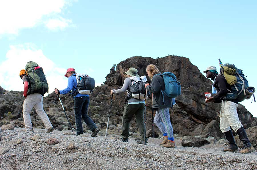 Kilimanjaro Lemosho Route 8 Days