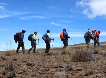 Tulia essence tours