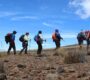 Tulia essence tours