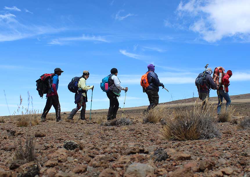 Tulia essence tours