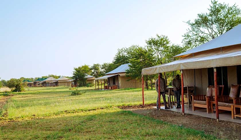 Serengeti national park