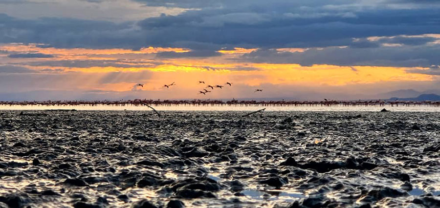 Lake Natron