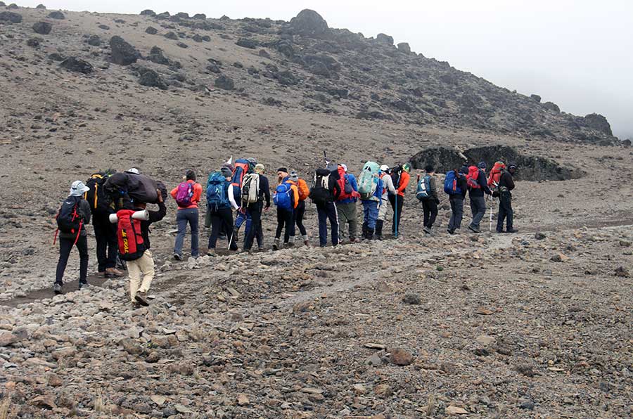 Kilimanjaro Lemosho Route 7 Days