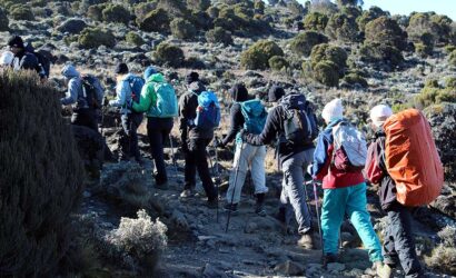 Kilimanjaro Lemosho Route 7 Days