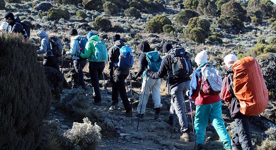 Kilimanjaro Lemosho Route 7 Days