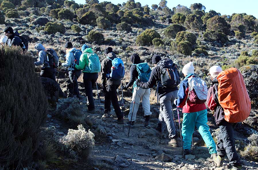 Kilimanjaro Lemosho Route 7 Days