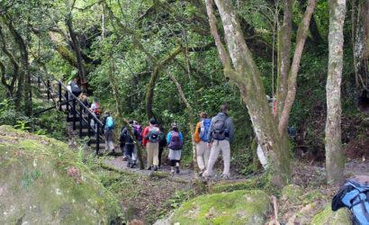 Kilimanjaro Machame Route 7 Days