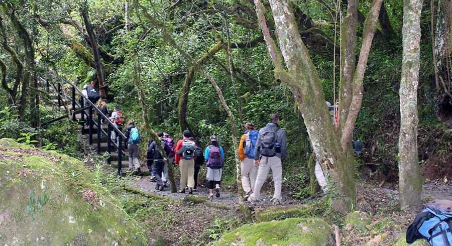 Kilimanjaro Machame Route 7 Days
