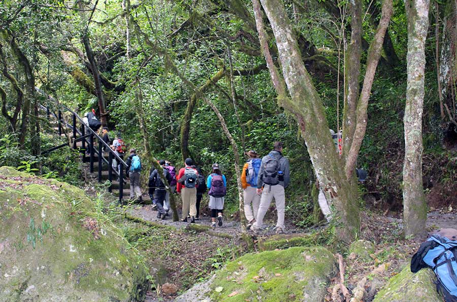 Kilimanjaro Machame Route 7 Days