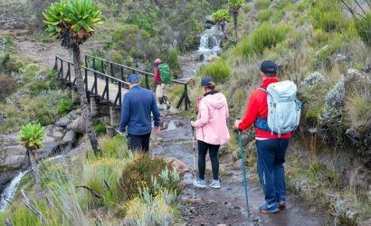Kilimanjaro Marangu Route 5 Days