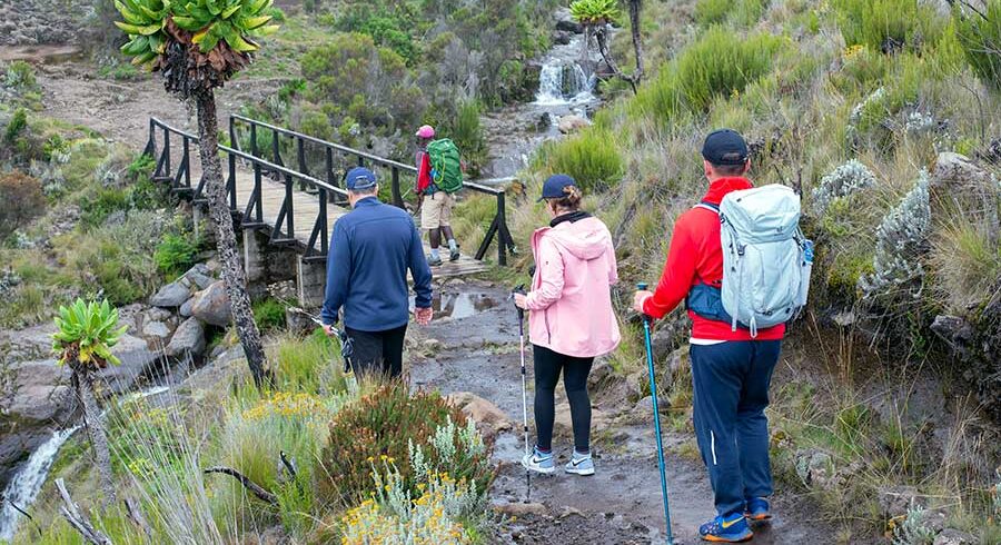 Kilimanjaro Marangu Route 5 Days