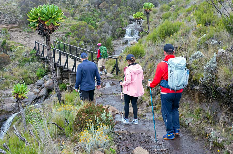 Kilimanjaro Marangu Route 5 Days
