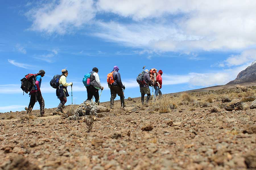 Marangu 5 day trip