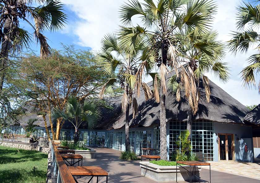 Arusha Safari