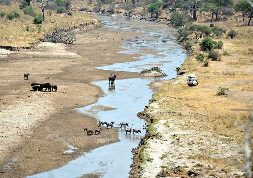 Tarangire Safari Tour