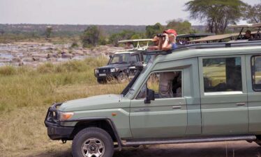 Tanzania Safari