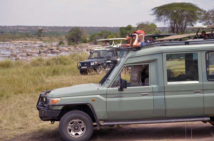 Tanzania Safari