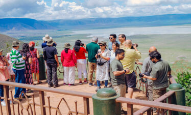 Tanzania Safari