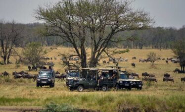 Tulia Essence Tours