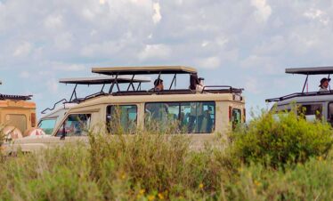 Safari in Tanzania for 5 days