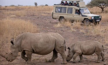 Tanzania Safari 5 days