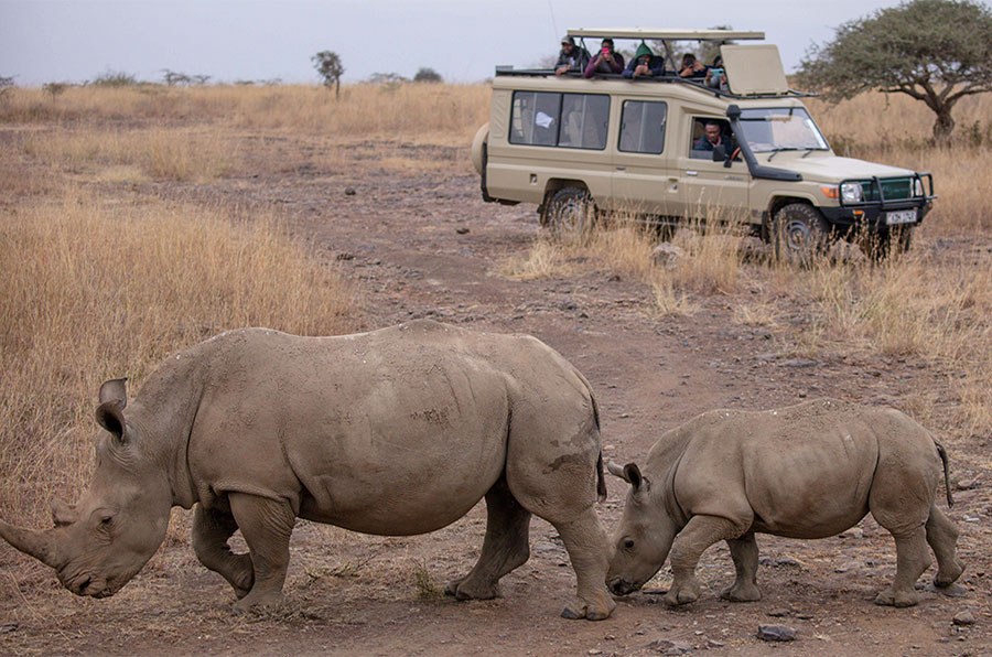 Tanzania Safari 5 days